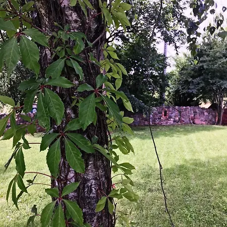 Pod Gwiazdami Farmház
