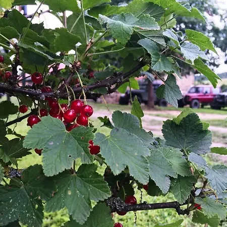 Pod Gwiazdami Farmház