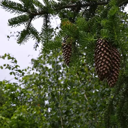 Pod Gwiazdami Piaski