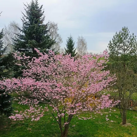 Farmház Pod Gwiazdami
